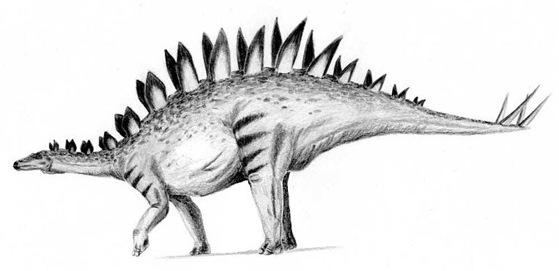 File:Tuojiangosaurus.jpg