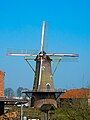 Windmill Zeldenrust