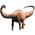 Diplodocus carnegii