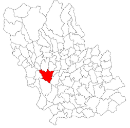 Location in Prahova County