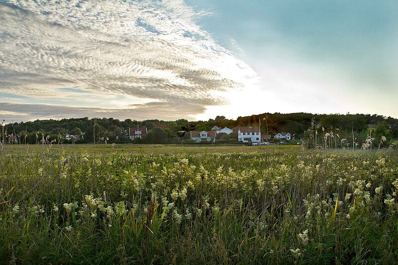 File:Brännö.jpg