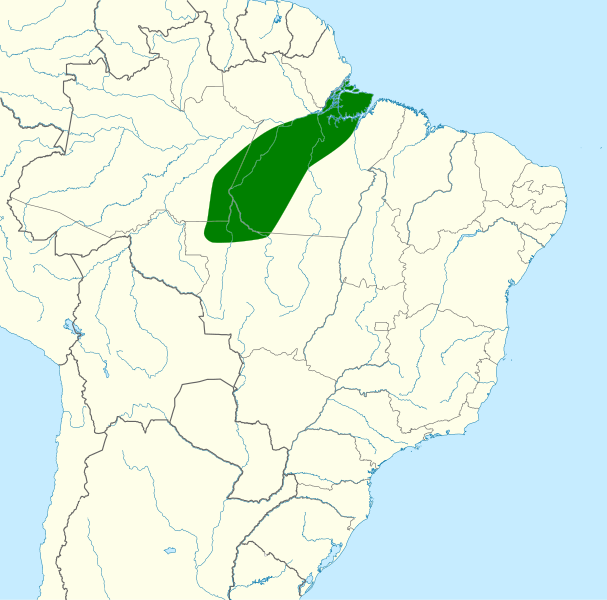 File:Conopophaga snethlageae map.svg