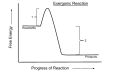 An exergonic reaction (such as cellular respiration) is a reaction that loses energy during the process of the reaction. Activation energy (1) catalyzes the reaction to occur in a spontaneous manner. The progress of the reaction is shown by the line. The change of Gibbs free energy (ΔG) in an exergonic reaction is a negative value because energy is lost (2).