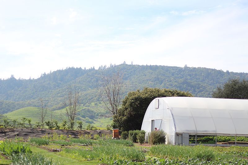 File:French Laundry Greenhouse.jpg