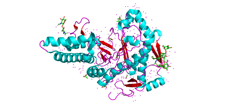 File:HYAL-1 Structure.png