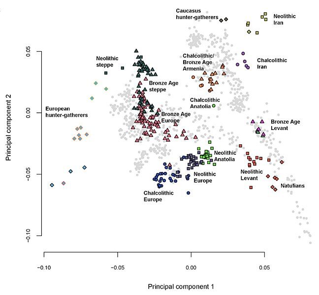 File:Haber 2017 PCA.jpg