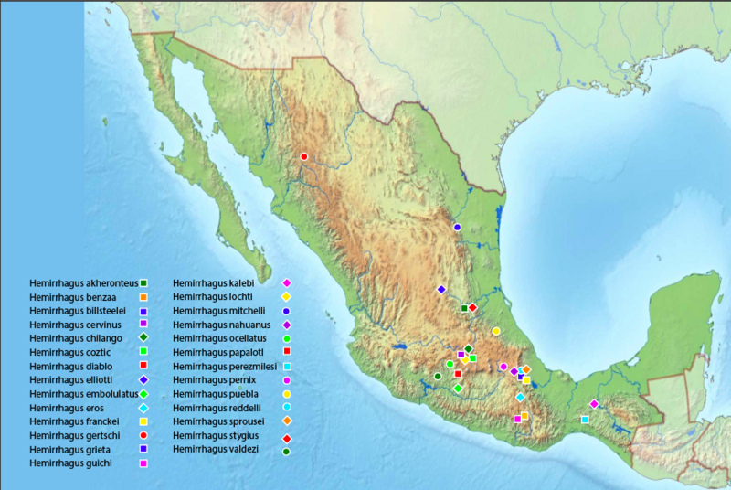 File:HemirrhagusDistributionMap.png