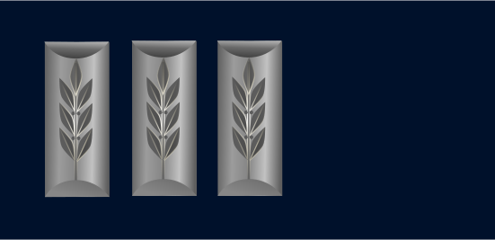 File:IDF seren silver.svg