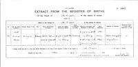 A Jersey birth certificate