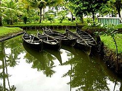 Traditional Kerala Boats