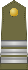 File:KingdomRomania-Army-OF-2.svg