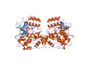 2h96: Discovery of Potent, Highly Selective, and Orally Bioavailable Pyridine Carboxamide C-jun NH2-terminal Kinase Inhibitors