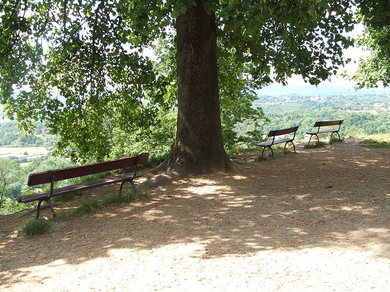 File:Parco della Burcina-DSCF0178.JPG