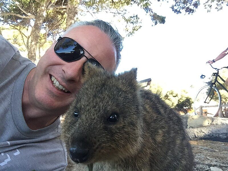 File:Quokka Selfie.jpg