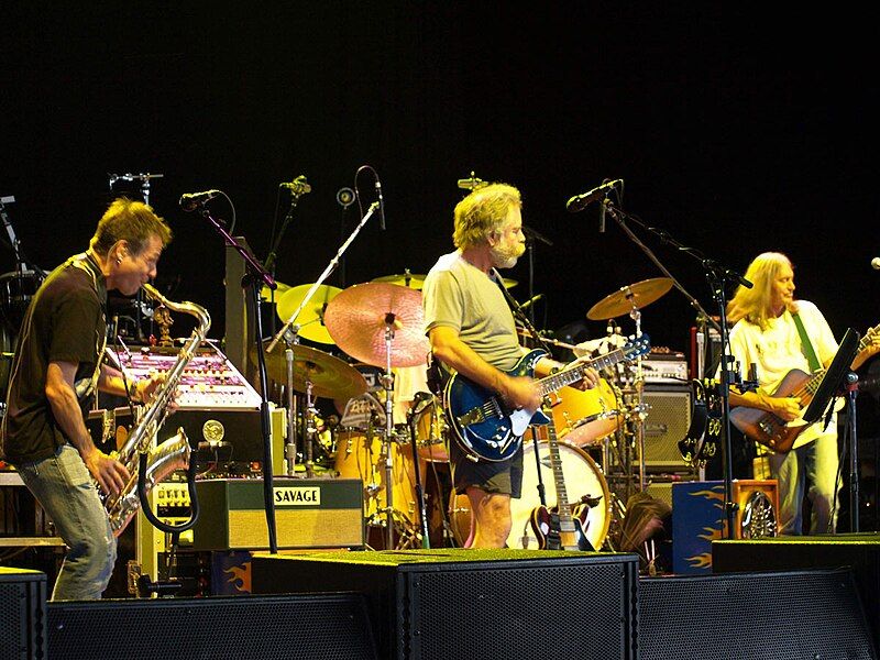 File:Ratdog-brooks-weir-sylvester.jpg