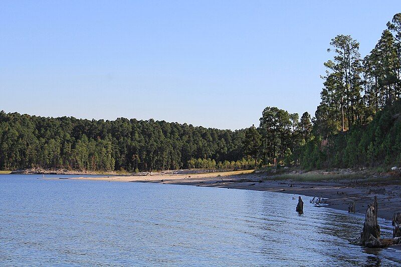 File:Sam Rayburn Reservoir.jpg