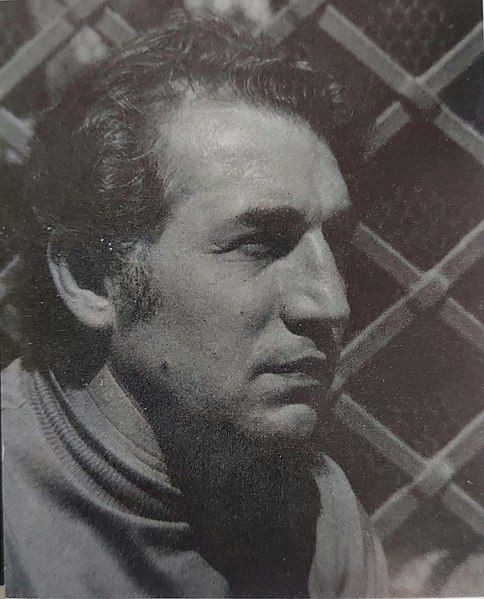 File:Sergio franzoi photo.jpg