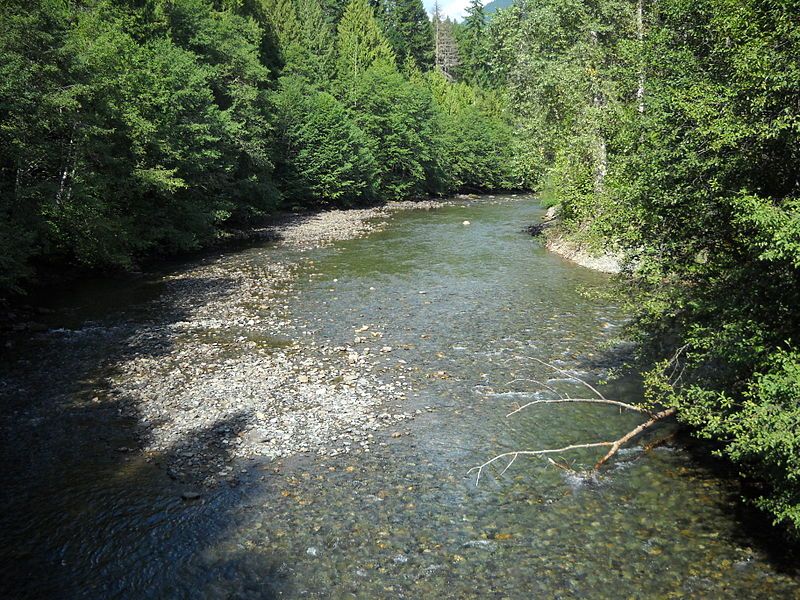 File:Skagit RiverInCanada.JPG