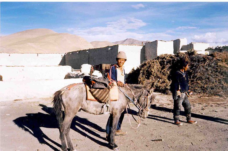 File:Tingri Dzong, 1993.jpg