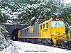 An EF class locomotive on the North Island Main Trunk in 'bumble bee' colours