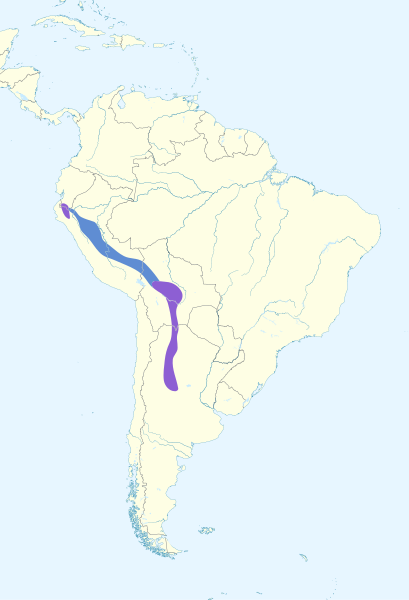 File:Turdus nigriceps map.svg