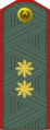 General-leytenant[58] (Uzbek Ground Forces)