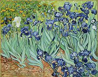 Irises, (1889)