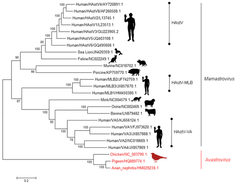 File:Viruses-09-00022-g001.webp