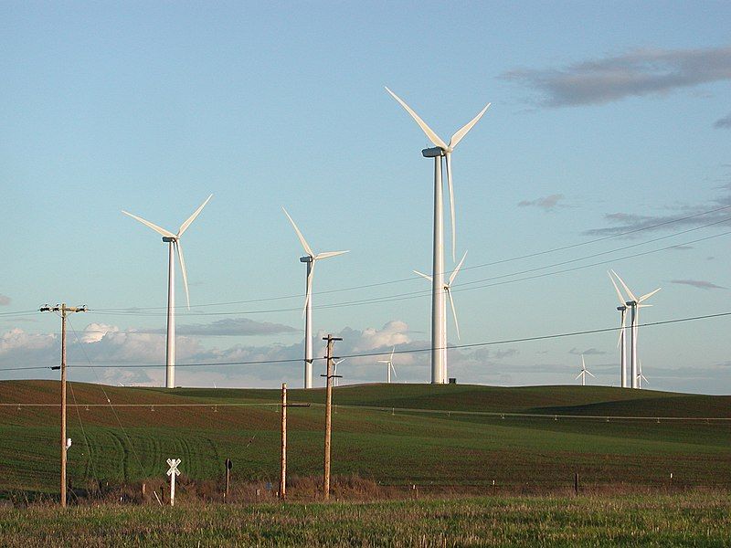 File:Windfarm (44).JPG