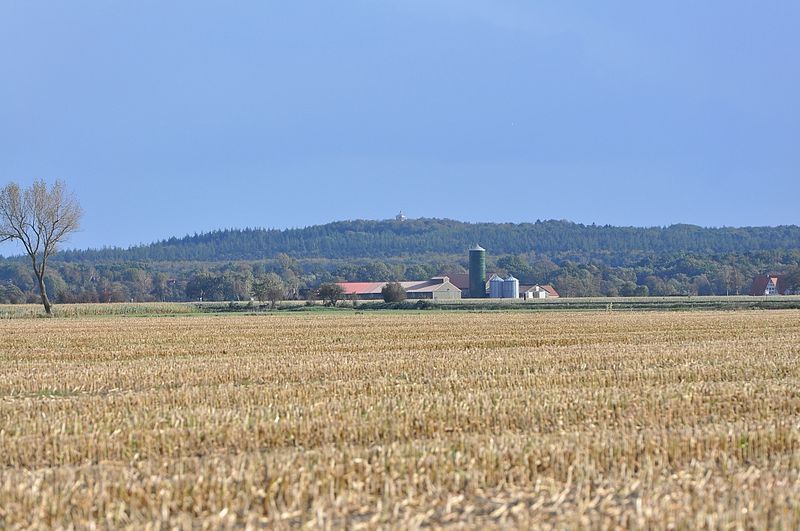 File:Wingst Cadenberge 2010-05-by-RaBoe-01.jpg