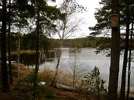 View of lake