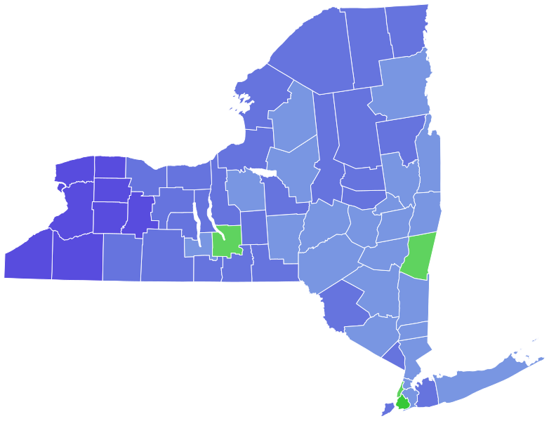 File:2018NYDEMLTGOVprimary.svg