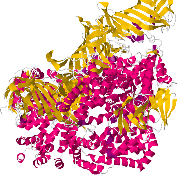 File:3QNF.pdb.png