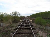 Bekovo railway bridge across the Mitkirey river near Sosnovka, 2015 год