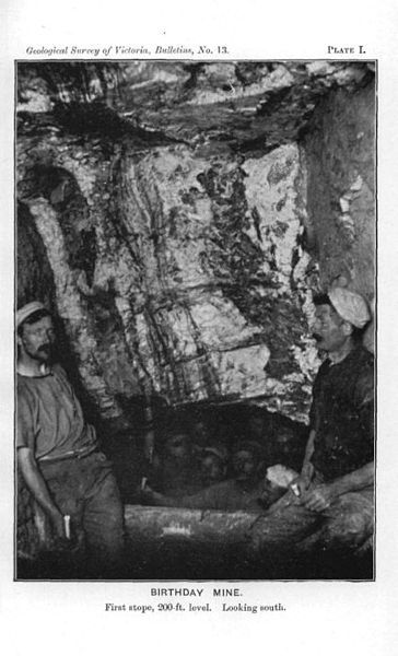 File:Berringa Birthday Mine.jpg