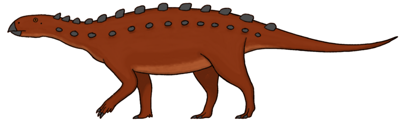 File:Brachypodosaurus reconstruction.png