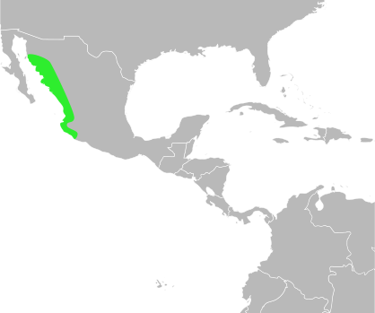 File:Bufo mazatlanensis distribution.svg