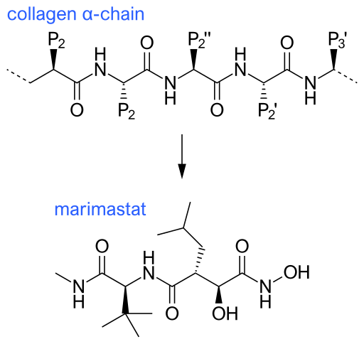 File:Collagen and marimastat.svg