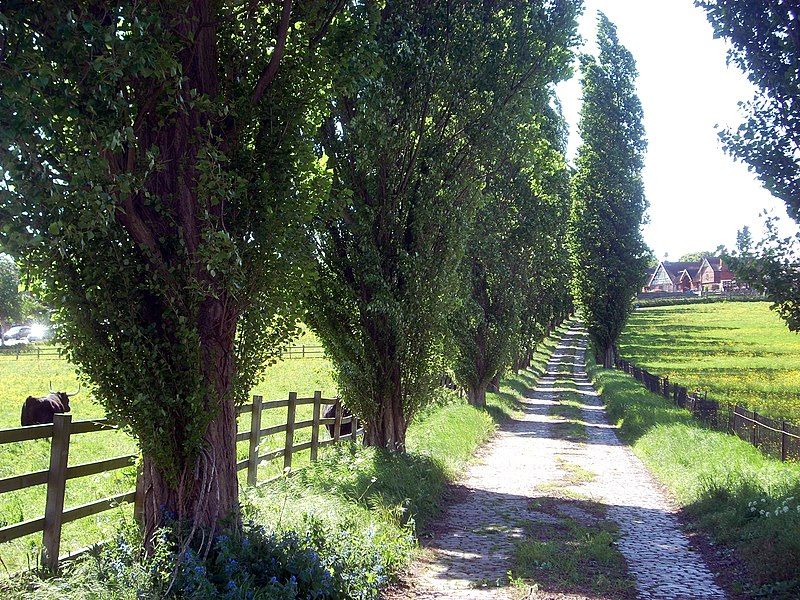 File:College Farm2009.JPG