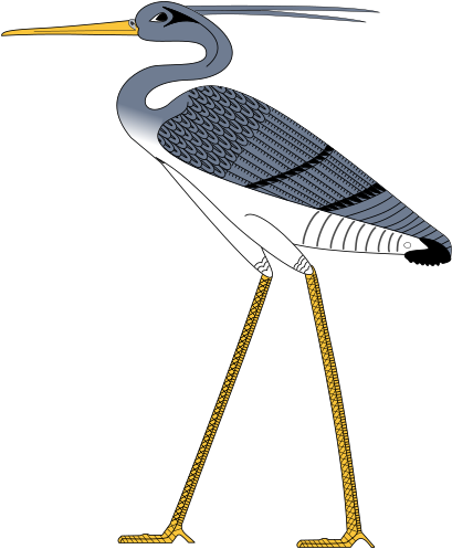 File:Egyptian Heron.svg