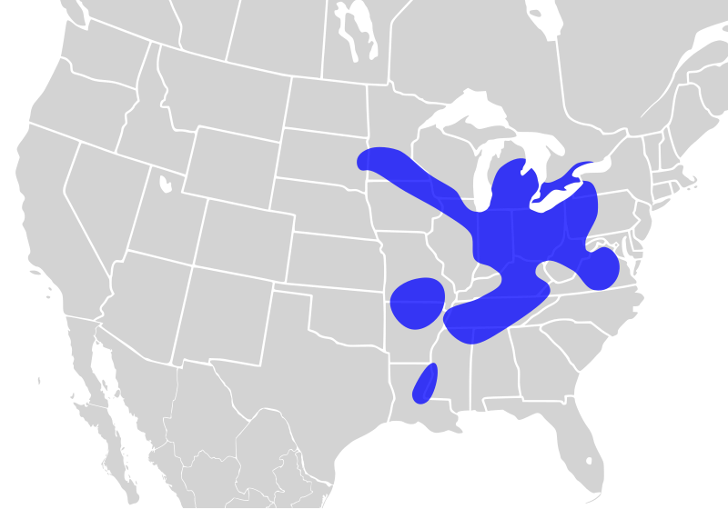 File:Etheostoma caeruleum distribution.svg