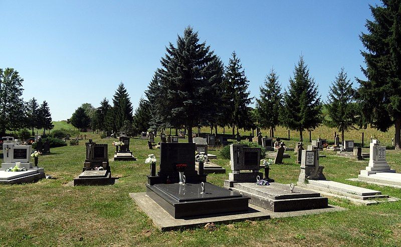 File:Graveyard of Baranyajenő.jpg