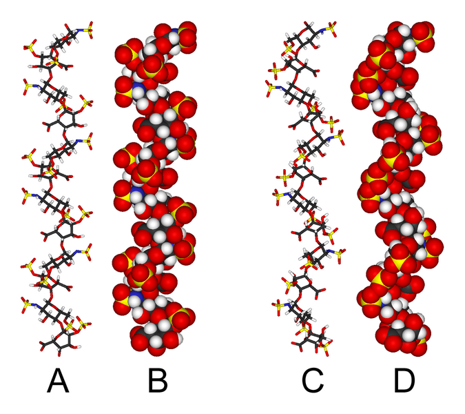 File:Heparin-3D-structures.png