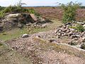 WW2 remains at Ibsley