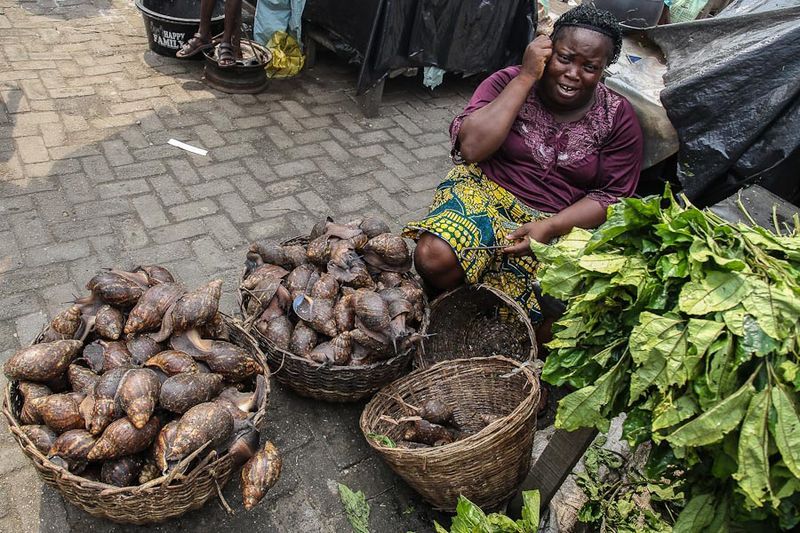 File:Nigeria snails2.jpg