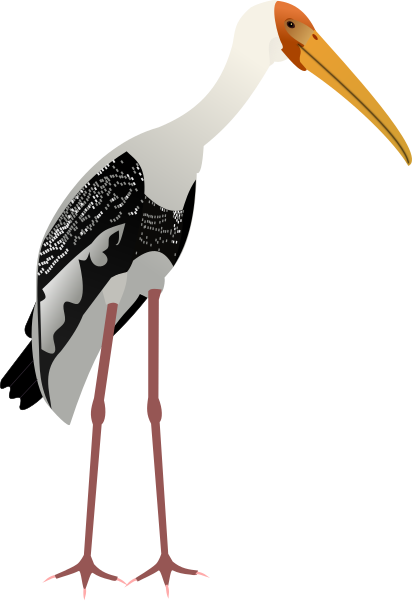 File:Painted Stork.svg