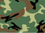 Main (4-colour woodland) variant of Chinese People's Liberation Army Type 99 pattern, c. 2006