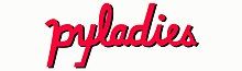 Red font writing showing "PyLadies"