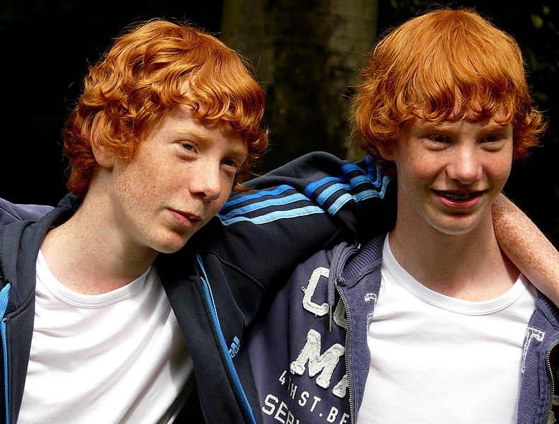 File:Redhead twins.jpg