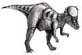 Pachycephalosaurus with thick bony skull.